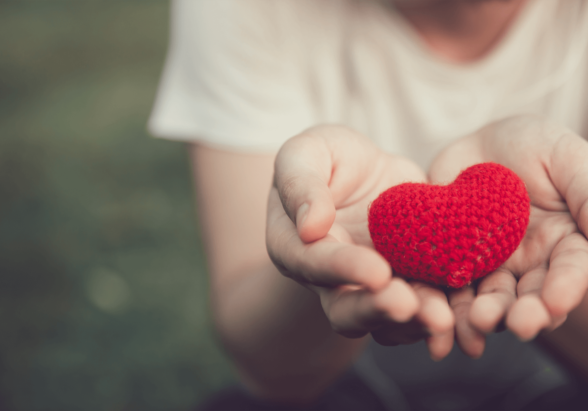 Hands Holding Heart Hands Holding Heart